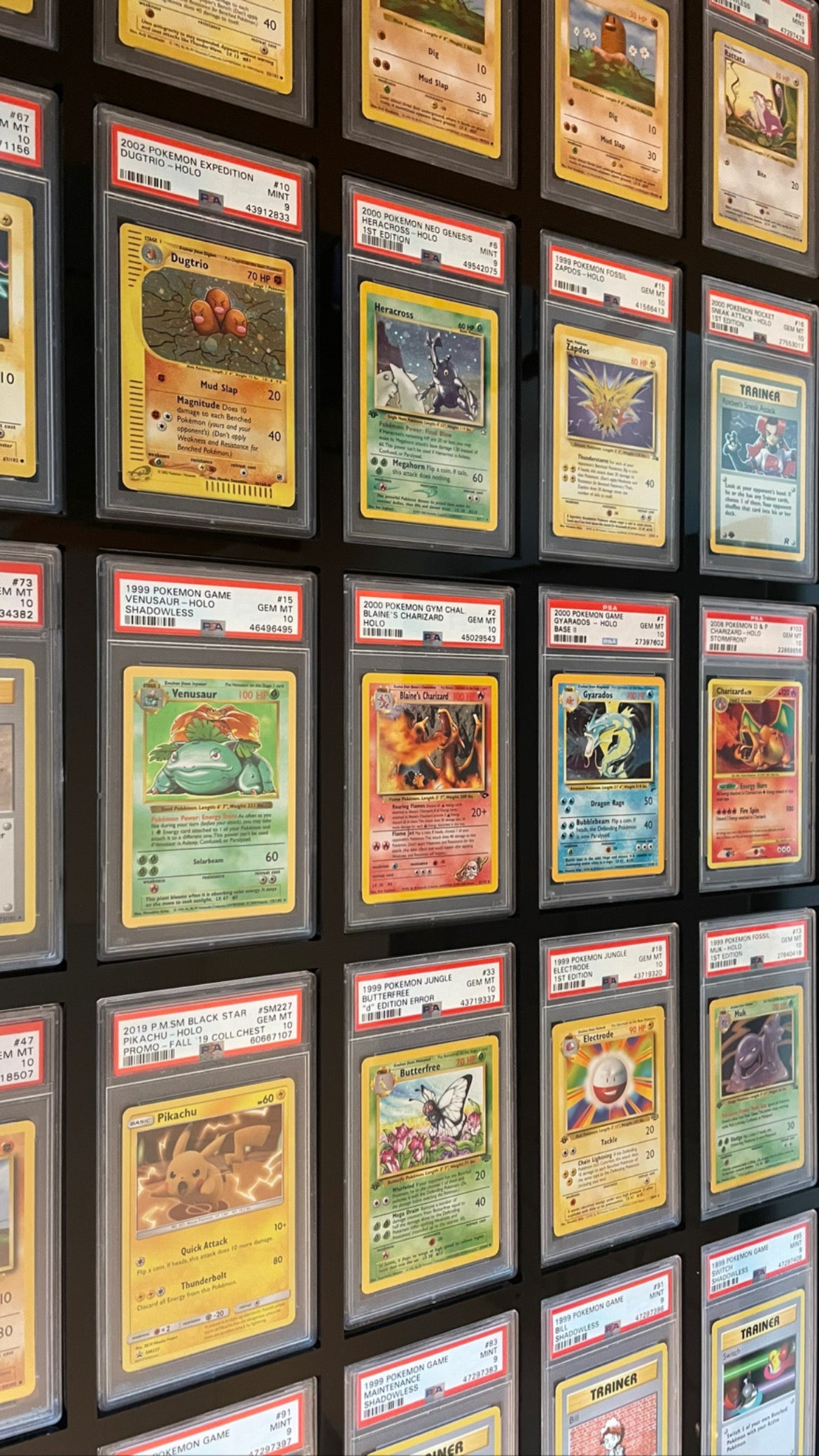 50 Slot PSA/CGC Card Wall Mount Display