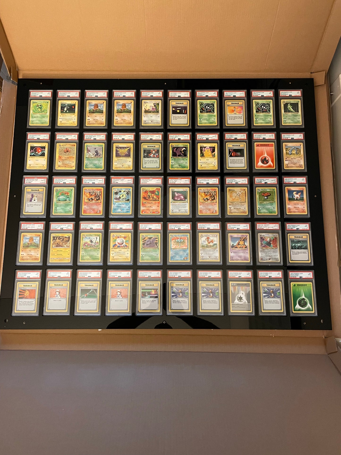 50 Slot PSA/CGC Card Wall Mount Display